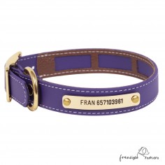 Collar Biothane Beta Funda...