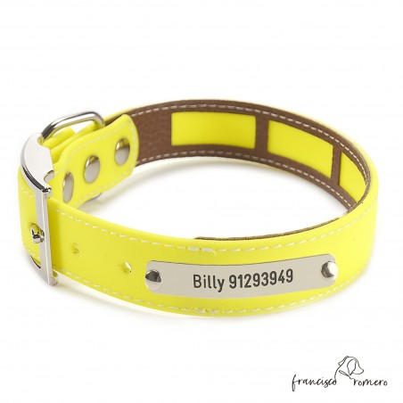 Collar Biothane Beta Funda Antiparasitaria Hebilla Níquel Personalizado