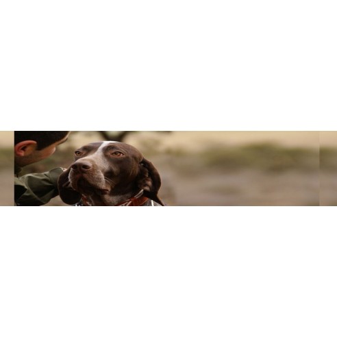 Colección Piel Funda Antiparasitaria Hebilla Alemana Oro Viejo