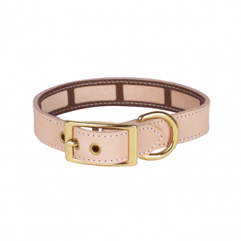 Collar con funda antiparasitaria