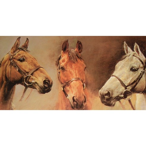 Colección Piel Vaquetilla Bandera España Rulo