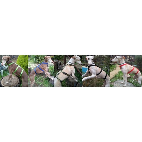 Colección Doble Piel Vaquetilla Herrajes de Latón