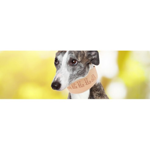 Colección Biothane Gold 3,8 cm.