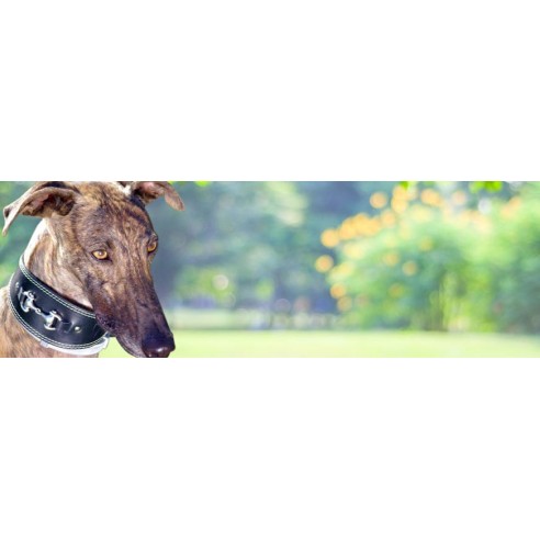 Colección Piel Vaquetilla Rulo Personalizada