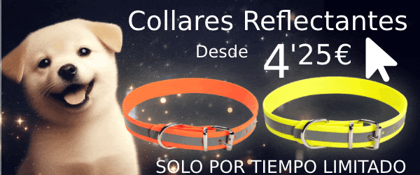 Collar de Perro Reflectante Barato